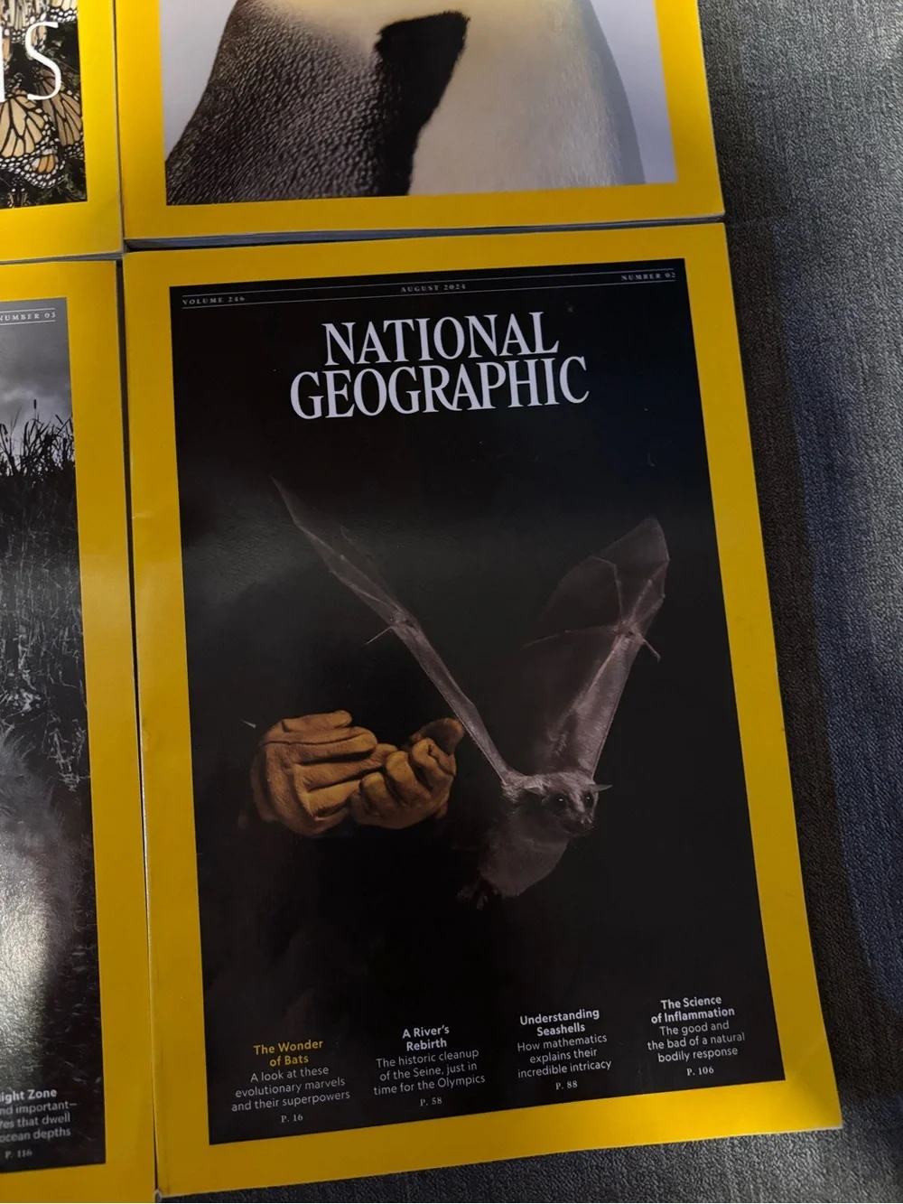 National Geographic Magazine Lot - 8 issues with animal themes
